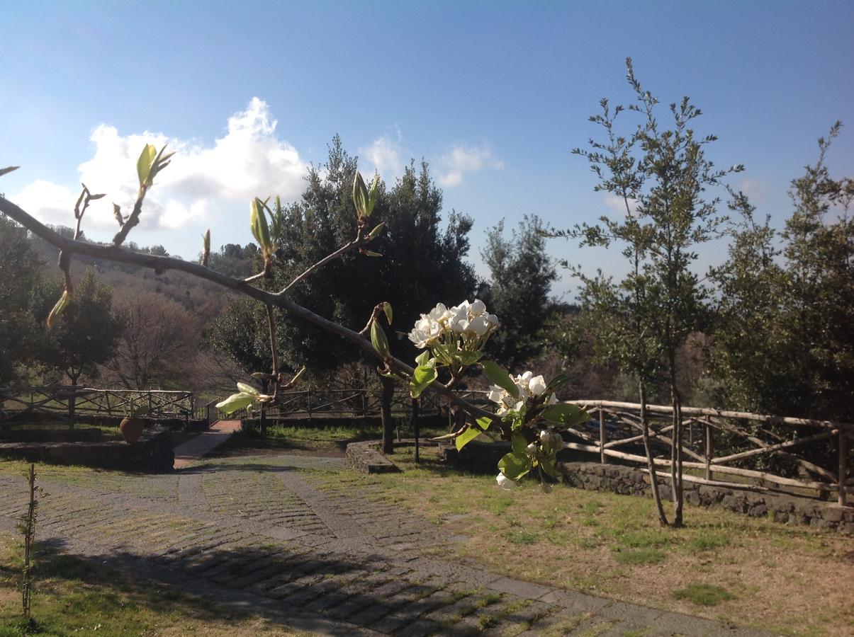 Hotel Le Cisterne Dell'Etna Calcerana-Marina Esterno foto