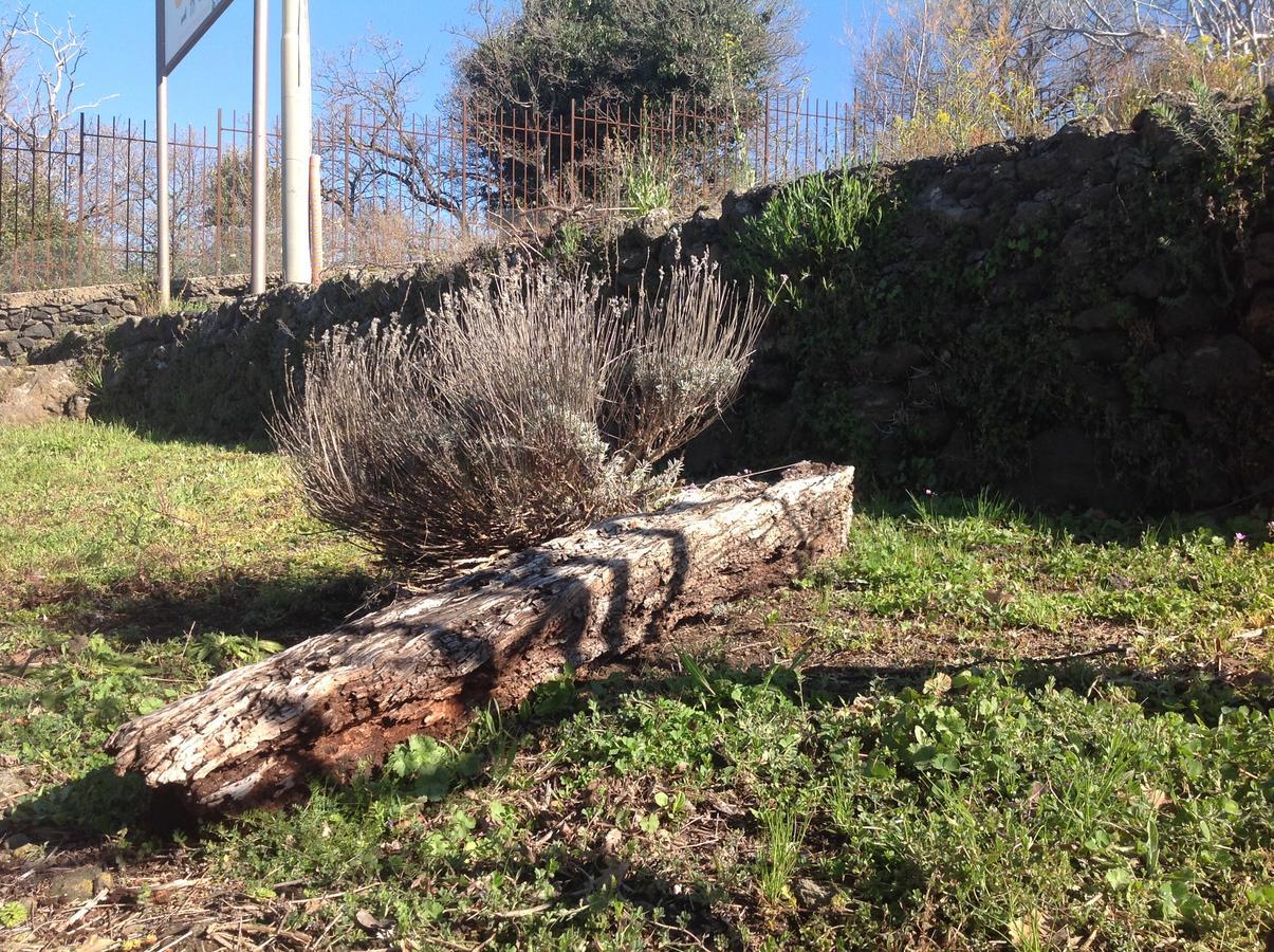 Hotel Le Cisterne Dell'Etna Calcerana-Marina Esterno foto